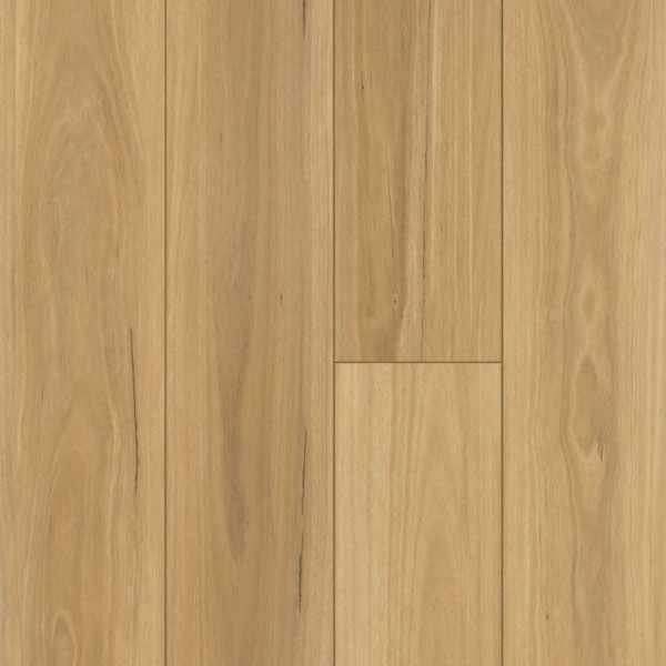 Distinction Plank Plus Eucalyptus